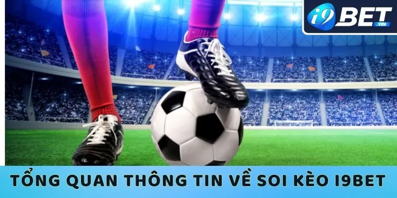 Tìm hiểu tổng quan các thông tin về soi kèo cá độ I9bet